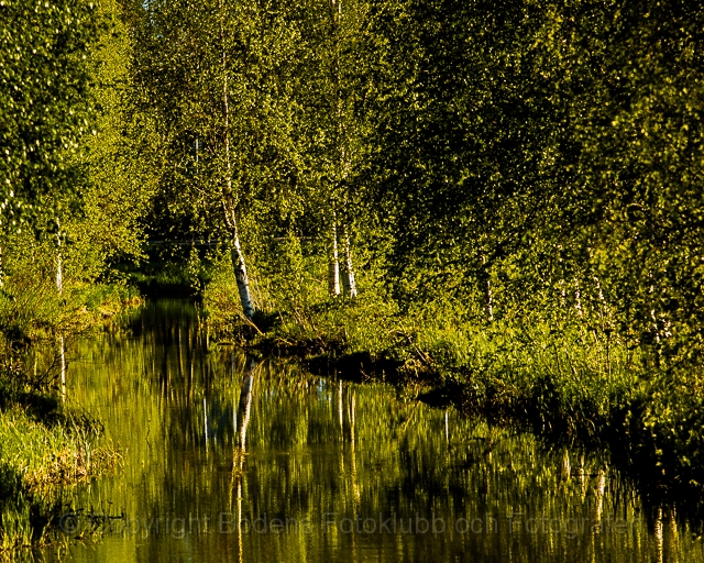 Q2 Vårbäck i Björkelund, Maj-1690.jpg - Vårbäck i Björkelund